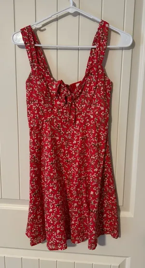 Francesca's Dress thumbnail 1