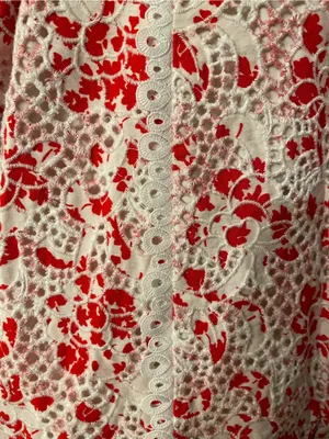La Maison Talulah Dance And Romance Mini Dress Floral Lace thumbnail 9