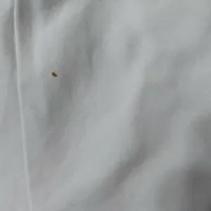 Izod polo shirt (#490) thumbnail 6
