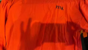PINK Victoria's Secret Long Sleeve thumbnail 2