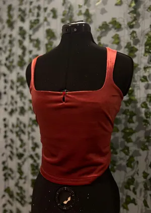 Wild Fable Y2K inspired Deep burgundy crop top thumbnail 2