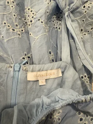 Olivaceous Eyelet Mini Blue and White Dress thumbnail 5