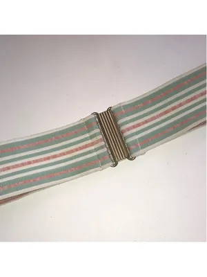 Vintage Striped Pastel Elastic Waist Belt with Gold-Tone Clasp thumbnail 2
