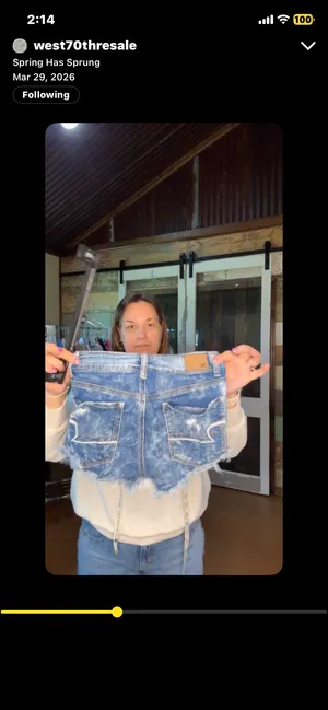 American Eagle Shorts thumbnail 6