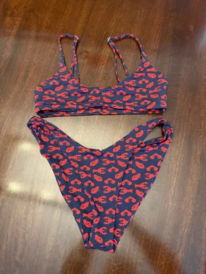 Grey Bandit x Ana Bikini thumbnail 1