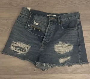 PacSun Shorts thumbnail 1