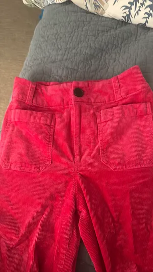 Anthropologie Colette corduroy wide leg Pants thumbnail 4