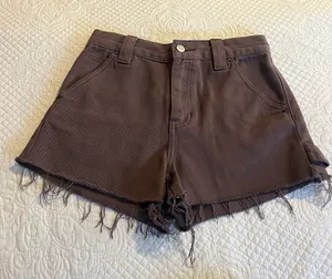 PacSun Shorts thumbnail 1