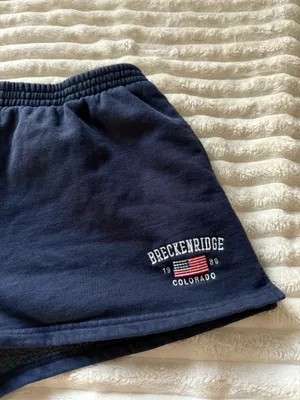 Brandy Melville Shorts thumbnail 2
