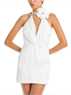 Ramy Brook Evie Pleated Twist-front Halter Neck Mini Dress in Ivory, Size 0, NWT thumbnail 5