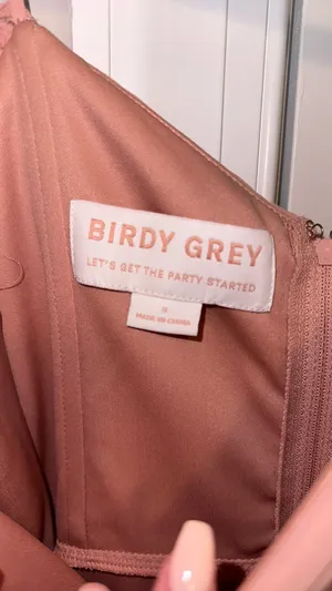 Birdy Grey Pink Bridesmaids Dress thumbnail 4