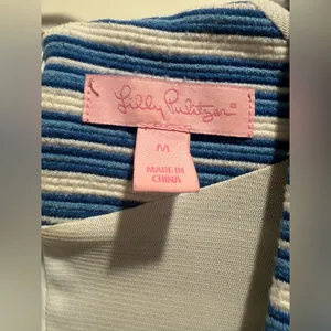 Lilly Pulitzer Bree Blue and White V-neck Striped Fit & Flare Dress Size M‎ thumbnail 6
