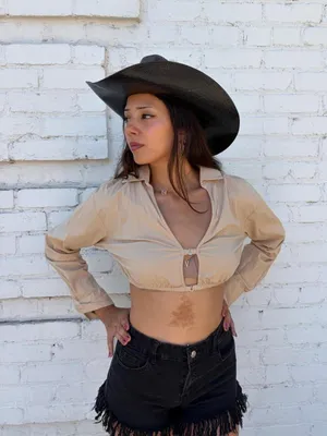 Zara tan cropped collared blouse with tie front detail and open back Size XS #western #cowgirl #preppy #academia thumbnail 1