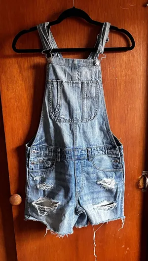 Denim Overalls American Eagle thumbnail 1