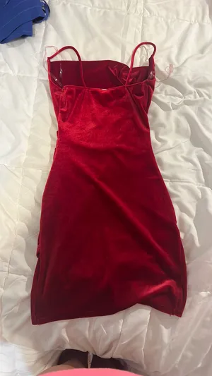 Windsor Red Velvet Dress thumbnail 2