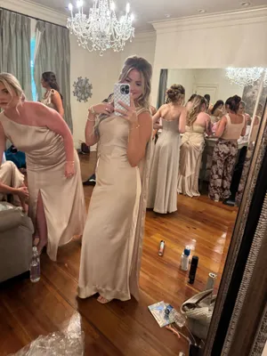 Birdy Grey Brielle Dress thumbnail 5