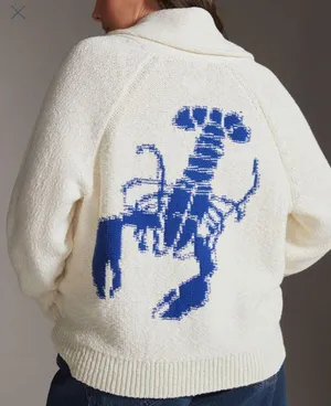 Anthropologie Cardigan thumbnail 1