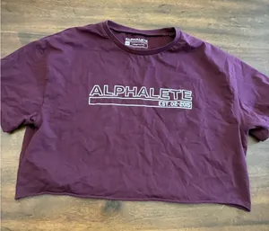 Alphalete Logo T-Shirt Crop Top Women’s Medium Purple Lifestyle Fit Cotton thumbnail 1