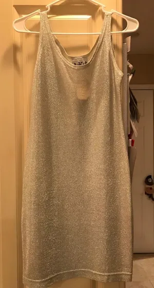 Women’s Silver Sparkly Dress Size Small. NWT AKA Los Angeles $52 thumbnail 1