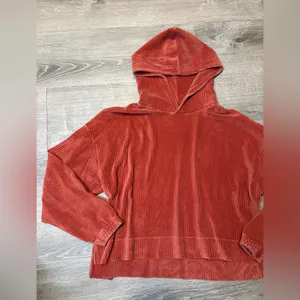 •Aerie• Velvet Hoodie thumbnail 3