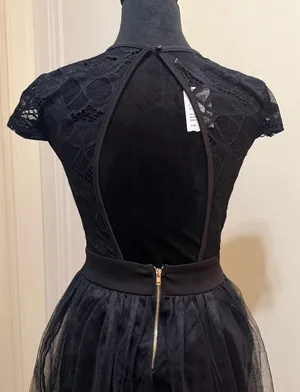 Privy Lace Illusion Tulle Fit & Flare Cocktail Mini Dress - Size S - NWT thumbnail 8