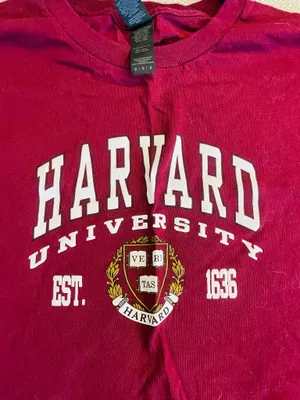 Gildan Women’s Harvard T-shirt thumbnail 2