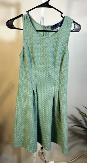 X100. Blue Rain- Sleeveless Textured Mint Green A-Line Mini Dress thumbnail 1