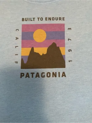 Patagonia Women’s Sky Blue Graphic Short-Sleeve Tee size Medium thumbnail 2
