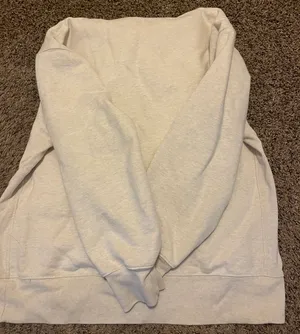 Aritzia Hoodie thumbnail 4