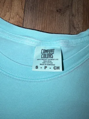 Comfort Colors "Stay Golden" Dog Graphic T-Shirt - Light Blue thumbnail 3