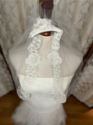 Gorgeous Galina Strapless Tulle Wedding Gown & Veil thumbnail 5