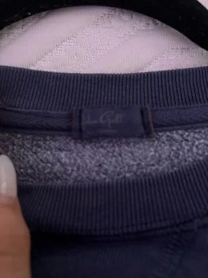 USA Brandy Melville Sweatshirt thumbnail 2