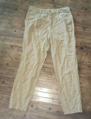Anthropologie tan embroidered lightweight size 27 relaxed pants thumbnail 1