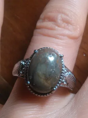 Venus Jasper Stainless Steel Solitaire Ring (Size 7) thumbnail 1