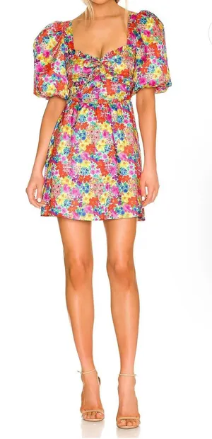 For Love & Lemons Dress thumbnail 1