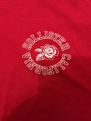 Hollister Graphic Tee Red Crop Top thumbnail 2