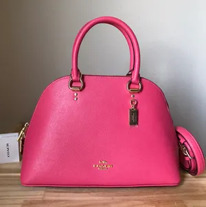 Coach Purse thumbnail 1