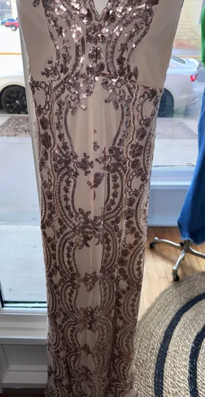 Boutique Gold / Tan Lace Prom Dress thumbnail 4