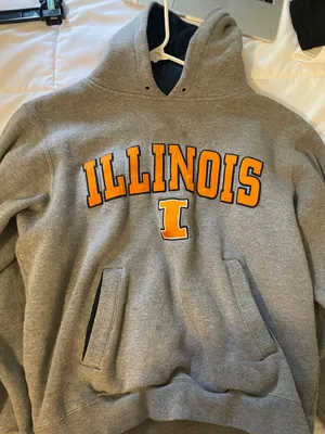 Illinois state hoodie Gray thumbnail 1