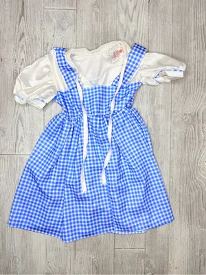 Rubies wizard if Oz Dorthy dress size small Halloween costume cosplay thumbnail 2