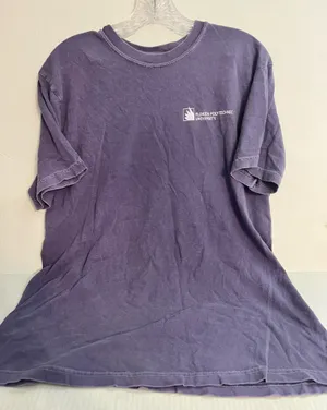 Comfort Colors Florida Polytechnic University Purple Graphic T-Shirt thumbnail 1