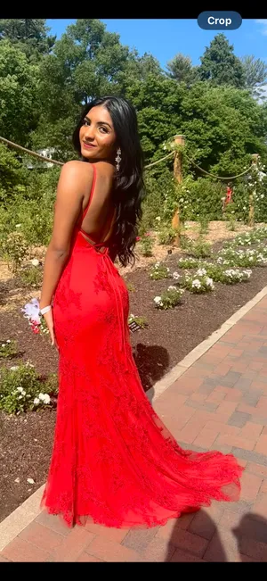 Stacees Red Prom Dress thumbnail 4