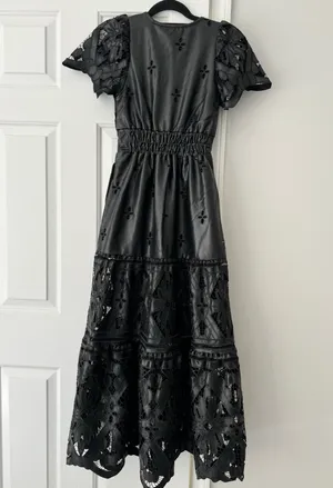 The Somerset Faux Leather Embroidered Cutwork Maxi Dress, Size XXS thumbnail 12