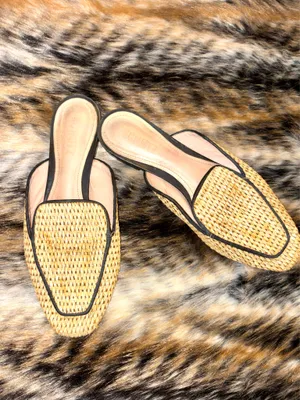 Flat mule-style sandals made of natural raffia from the Schutz brand, model Zaina, with a pointed toe design and black trim. thumbnail 1