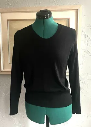 Everlane Black Crewneck 100% Wool Lightweight Sweater Minimalist‎ Workwear sz S thumbnail 1