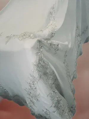 Wedding David's Beaded Bridal Dress White Gown Strapless A-Line 2 thumbnail 9