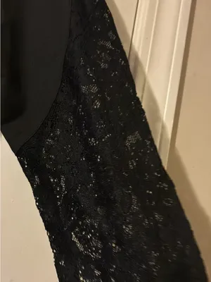 & Other Stories Black Long Sleeve Dress with Lace Sleeves thumbnail 5