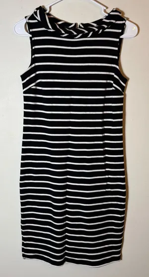 Talbots Petite Black and White Striped‎ Sleeveless Sheath Dress Career Size P thumbnail 1