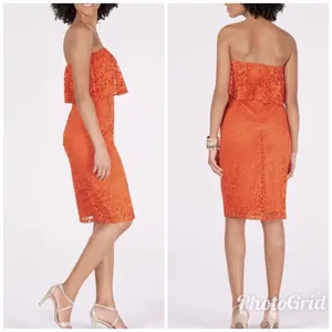THALIA SODI Strapless Lace Cocktail Dress Medium Orange Midi Cocktail‎ Party New thumbnail 13