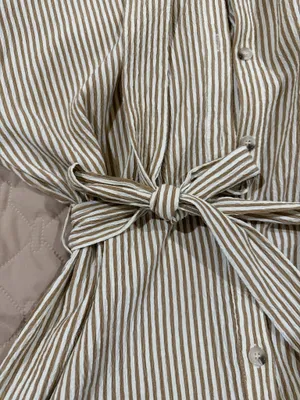 Gilli Striped Dress Brown thumbnail 2